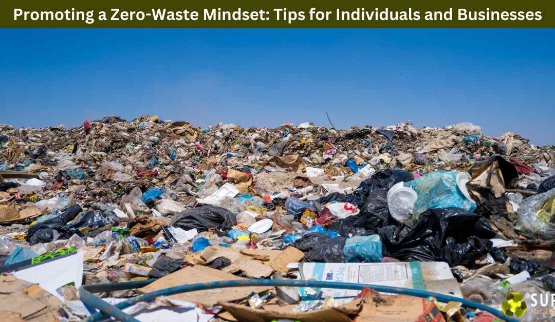 Promoting a Zero-Waste Mindset: Tips for Individuals and Businesses